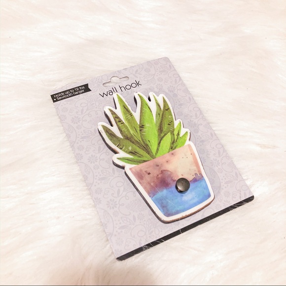 Hanging Succulent Wall Hook